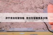 济宁竞价托管价格  竞价托管服务多少钱