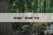 短句推广  短句推广平台