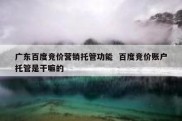 广东百度竞价营销托管功能  百度竞价账户托管是干嘛的