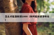 怎么才能涨粉到1000（如何能快速涨粉丝）