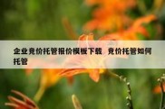 企业竞价托管报价模板下载  竞价托管如何托管