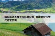 浦东新区百度竞价托管公司  百度竞价托管代运营公司