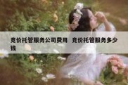 竞价托管服务公司费用  竞价托管服务多少钱