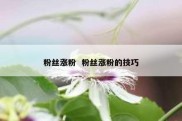 粉丝涨粉  粉丝涨粉的技巧