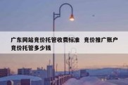 广东网站竞价托管收费标准  竞价推广账户竞价托管多少钱