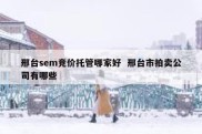 邢台sem竞价托管哪家好  邢台市拍卖公司有哪些