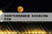 竞价账户托管找凯越托管  竞价托管公司操作流程