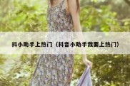 抖小助手上热门（抖音小助手我要上热门）