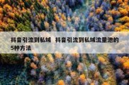 抖音引流到私域  抖音引流到私域流量池的5种方法