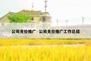 公司竞价推广  公司竞价推广工作总结