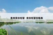 青州竞价托管  竞价托管价格表