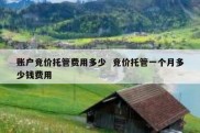 账户竞价托管费用多少  竞价托管一个月多少钱费用