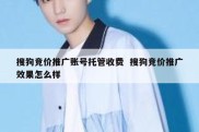 搜狗竞价推广账号托管收费  搜狗竞价推广效果怎么样