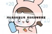 河北竞价托管公司  竞价托管哪家便宜