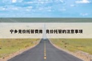 宁乡竞价托管费用  竞价托管的注意事项
