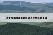 湖北安顺搜狗竞价托管系统的简单介绍