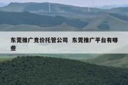 东莞推广竞价托管公司  东莞推广平台有哪些