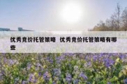 优秀竞价托管策略  优秀竞价托管策略有哪些