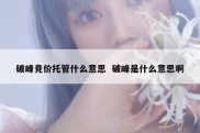 破峰竞价托管什么意思  破峰是什么意思啊