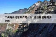 广州竞价托管账户是什么  竞价托管服务多少钱