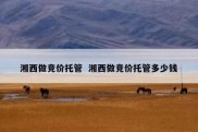 湘西做竞价托管  湘西做竞价托管多少钱