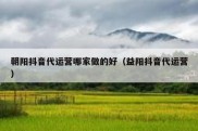 朝阳抖音代运营哪家做的好（益阳抖音代运营）