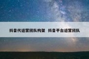 抖音代运营团队构架  抖音平台运营团队