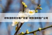呼和浩特竞价推广托管  呼和浩特推广公司