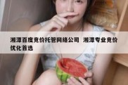 湘潭百度竞价托管网络公司  湘潭专业竞价优化首选