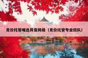 竞价托管唯选异变网络（竞价托管专业团队）