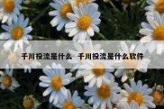 千川投流是什么  千川投流是什么软件