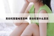 竞价托管是啥意思啊  竞价托管什么意思