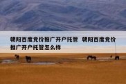朝阳百度竞价推广开户托管  朝阳百度竞价推广开户托管怎么样
