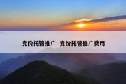 竞价托管推广  竞价托管推广费用
