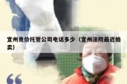 宜州竞价托管公司电话多少（宜州法院最近拍卖）