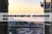 竞价托管文案生活图片治愈（竞价托管的注意事项）