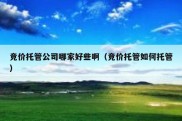 竞价托管公司哪家好些啊（竞价托管如何托管）