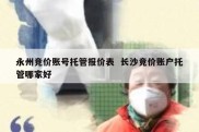永州竞价账号托管报价表  长沙竞价账户托管哪家好