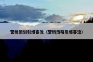 营销策划引爆客流（营销策略引爆客流）