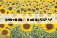 徐州竞价托管推广  竞价托管公司联系方式