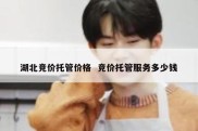 湖北竞价托管价格  竞价托管服务多少钱