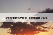 优化客竞价账户托管  竞价排名优化服务