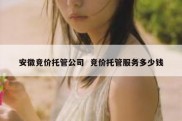 安徽竞价托管公司  竞价托管服务多少钱