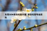 东莞SEM竞价托管方案  竞价托管专业团队
