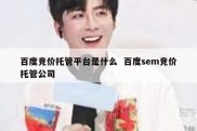 百度竞价托管平台是什么  百度sem竞价托管公司