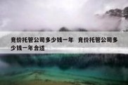 竞价托管公司多少钱一年  竞价托管公司多少钱一年合适
