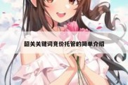 韶关关键词竞价托管的简单介绍