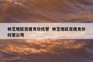 林芝地区百度竞价托管  林芝地区百度竞价托管公司