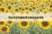 包含竞价托管选择亿驱动力的词条