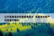 辽宁百度竞价托管费用多少  百度竞价账户托管是干嘛的